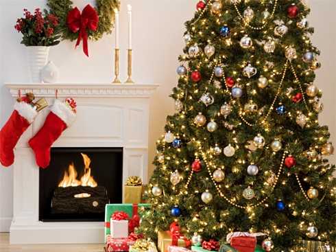 christmas tree and fireplace5